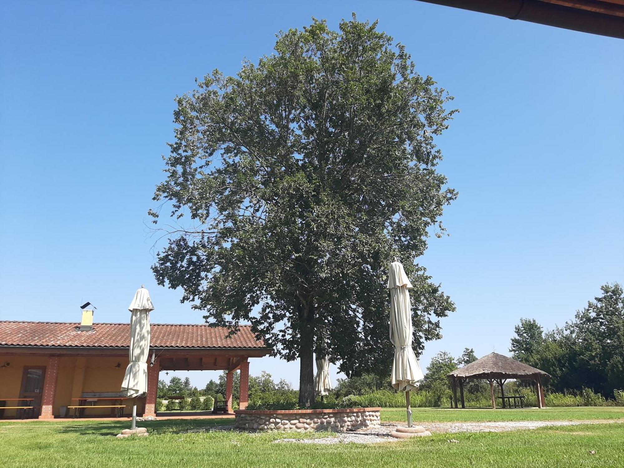 Corte All'Olmo - Verona, Verona
